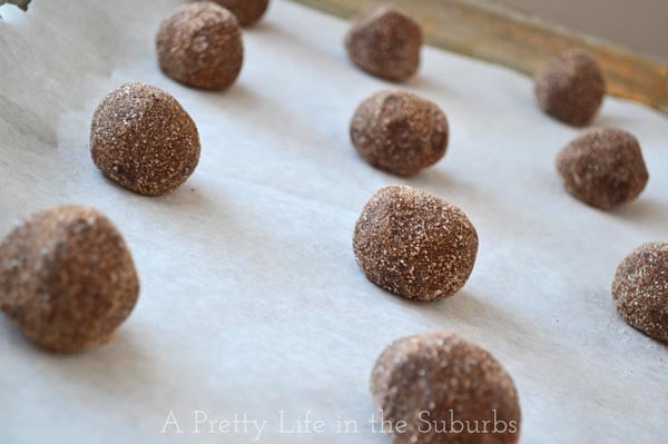 Mexican Hot Chocolate Cookies3