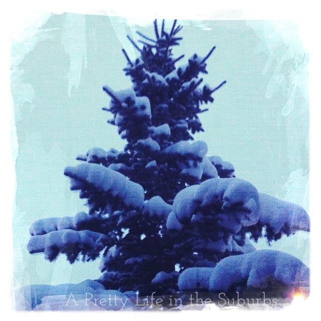 Snowfall