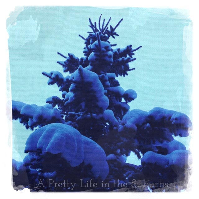 Snowfall3