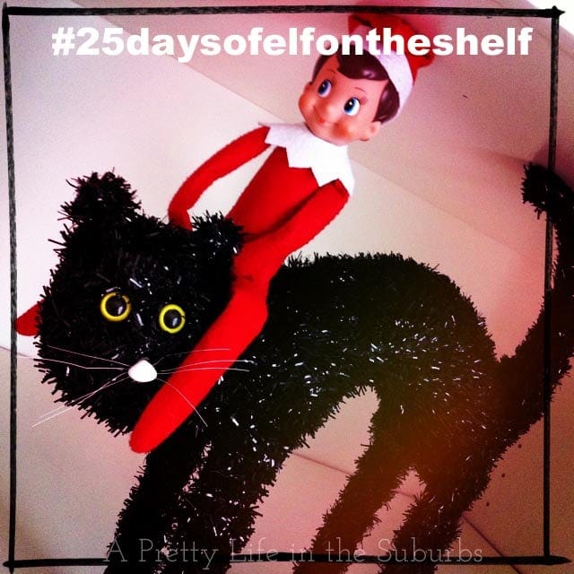 ElfontheShelf