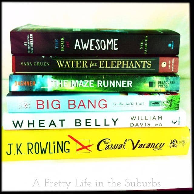 WhatI'mReadingJan13