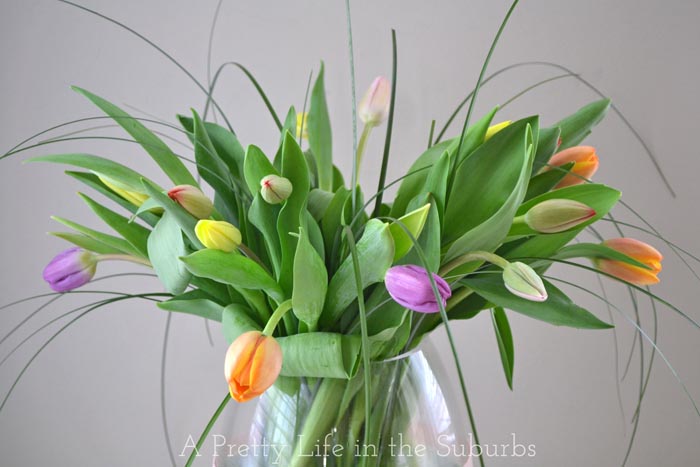 Tulips1